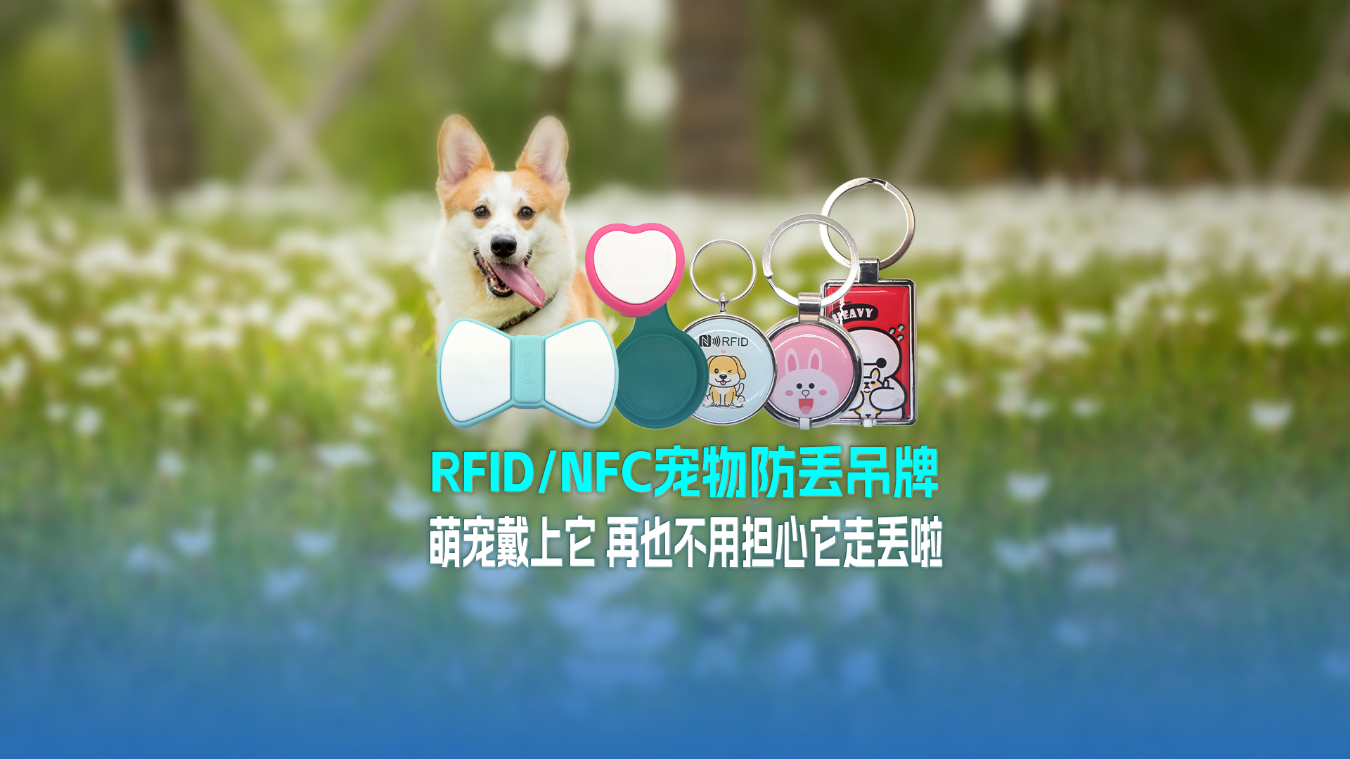 卡立方集团RFID宠物防丢吊牌：萌宠戴上它 再也不用担心它走丢啦