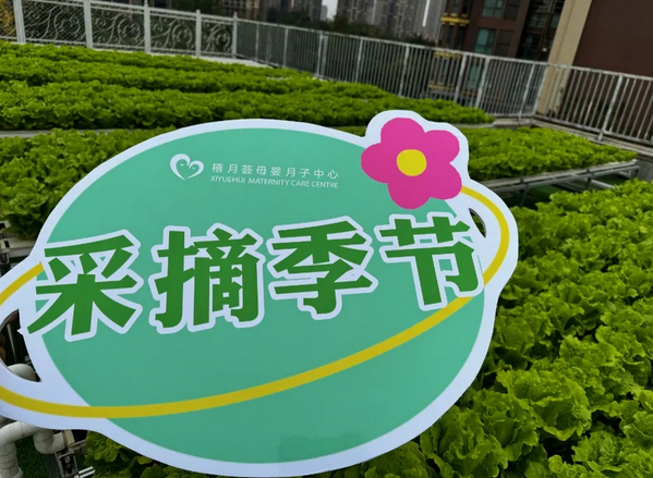 成都月子中心農(nóng)場主|共享菜地，開啟有機(jī)坐月子生活